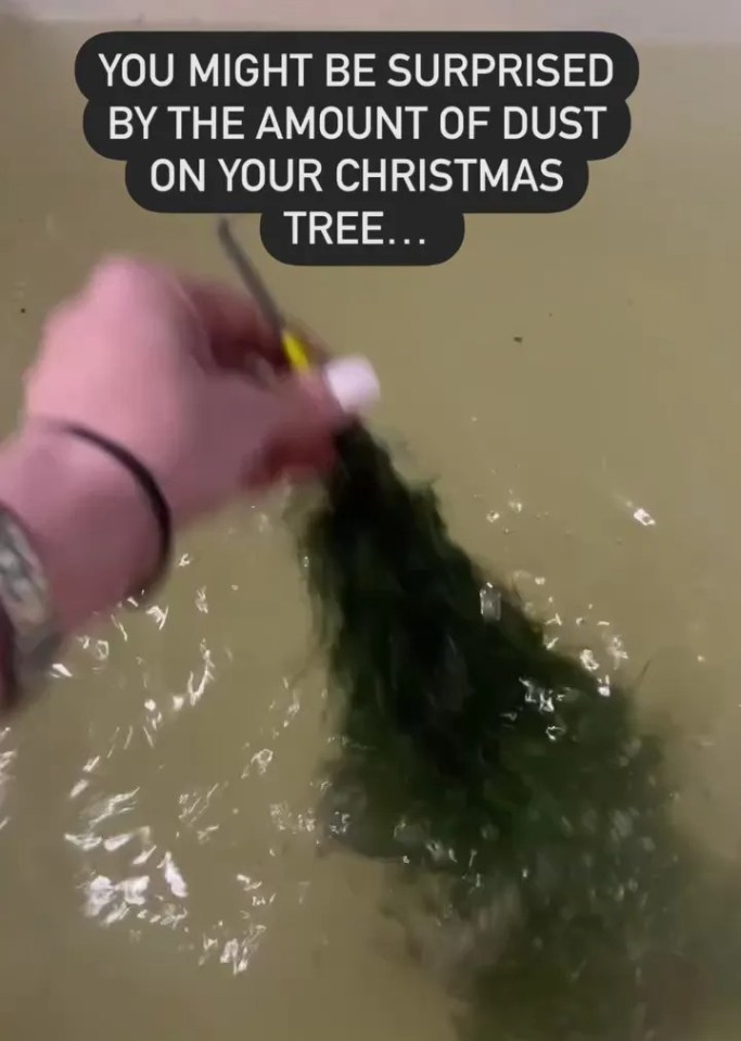 a person is holding a christmas tree in a bath tub