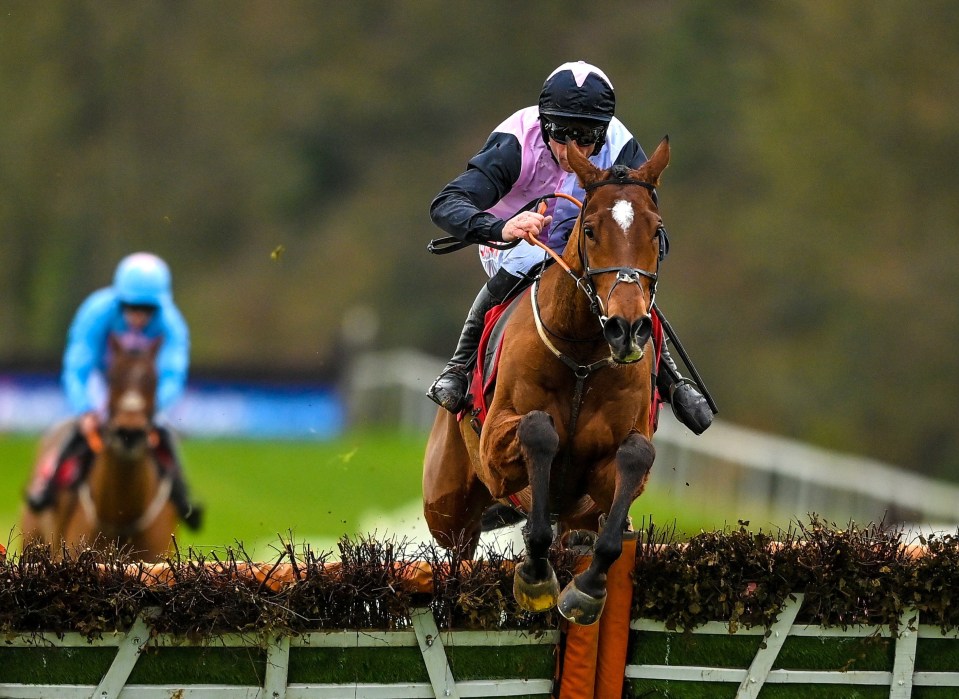 Teahupoo is the odds-on favourite for Sunday's Bar One Hatton's Grace Hurdle