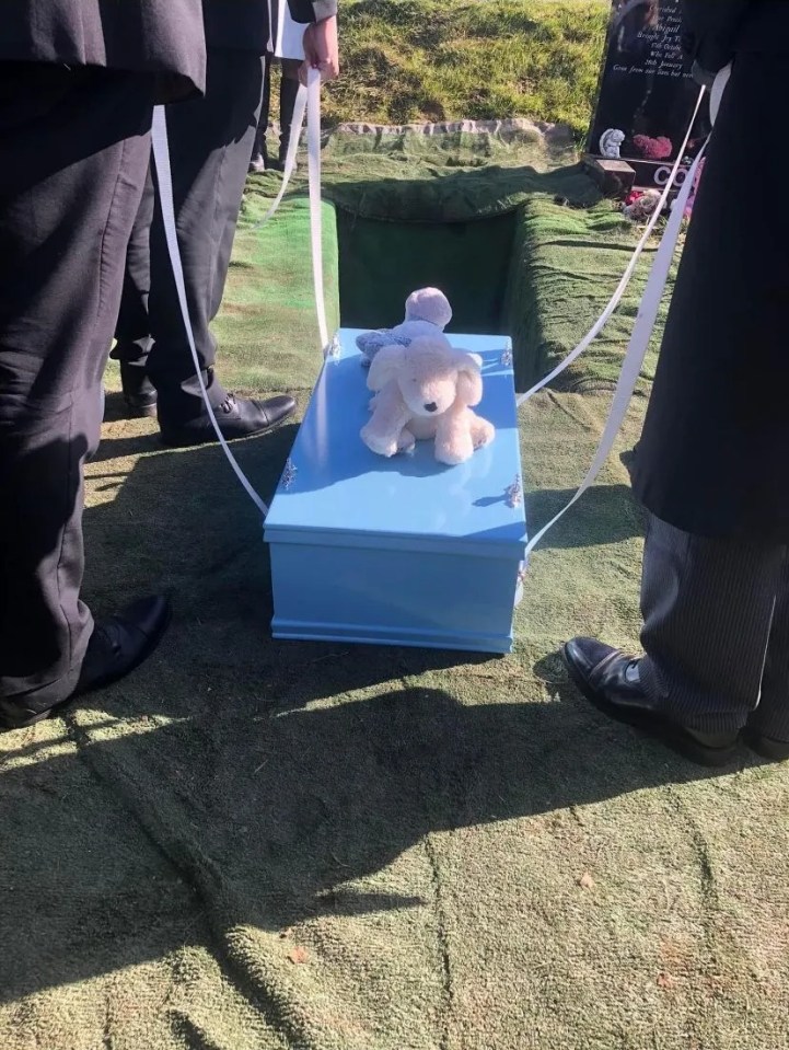 Harlow's family gave him a Peter Rabbit-themed funeral in honour of his favourite story