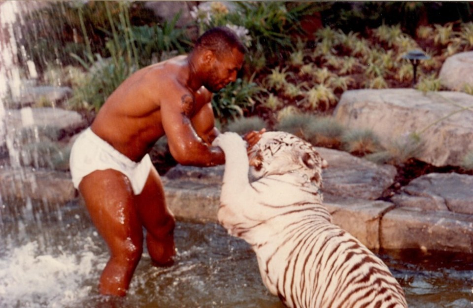 Mike Tyson loved owning exotic pets when he was at the top of the fight game