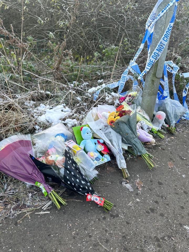 a bunch of flowers and stuffed animals on the side of the road