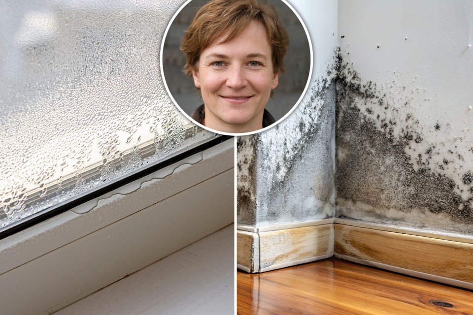 Expert Natalie Mitchell has revealed an unexpected household item which can fight damp and mould