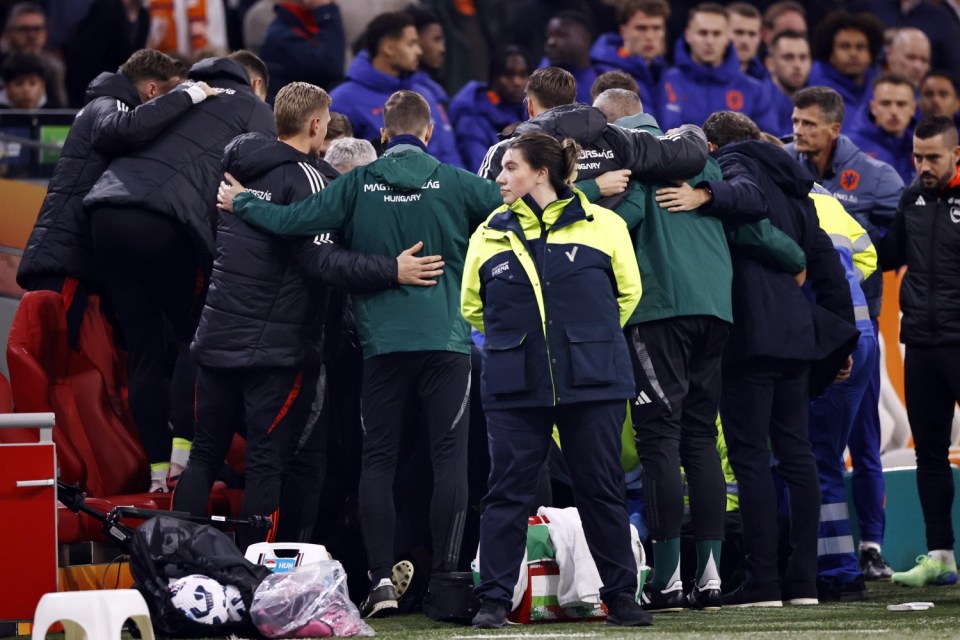 A medical emergency on the Hungarian bench halted their game against Netherlands