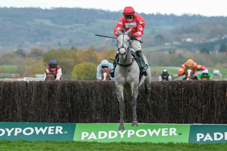 Harry Skelton riding L'eau Du Sud clear the last to win The Paddy Power Arkle Challenge Trophy Trial Novices' Chase at Cheltenham Racecourse