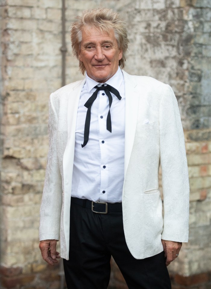 Rod Stewart is considering the future of his super cars due to the state of the UK's roads