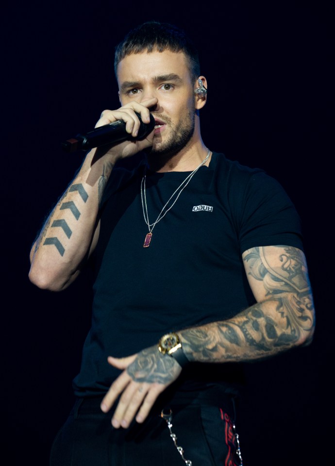 An insider has said Liam was trying to get clean and had been given an all-clear on a drugs test before his death