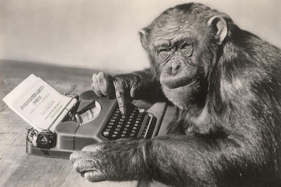 There's a five per cent chance chimps could successfully type a single word if given an entire lifetime