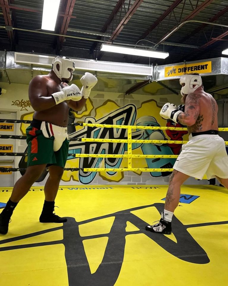 DeAndre Savage sparring Jake Paul