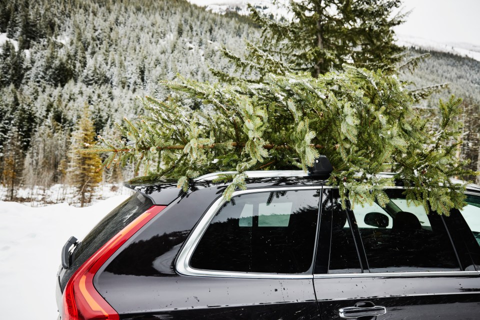 a car with a christmas tree on top of it