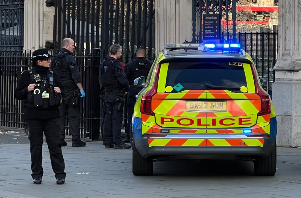 Area was cordoned off after a man carrying swords and dressed in a suit of armour arrived at the Houses of Parliament and asked for Boris Johnson