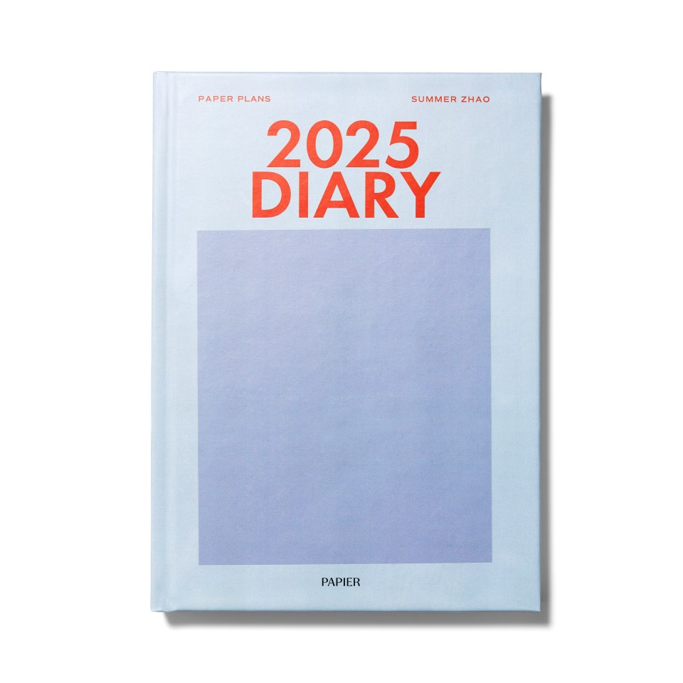 a book titled 2025 diary by summer zhao