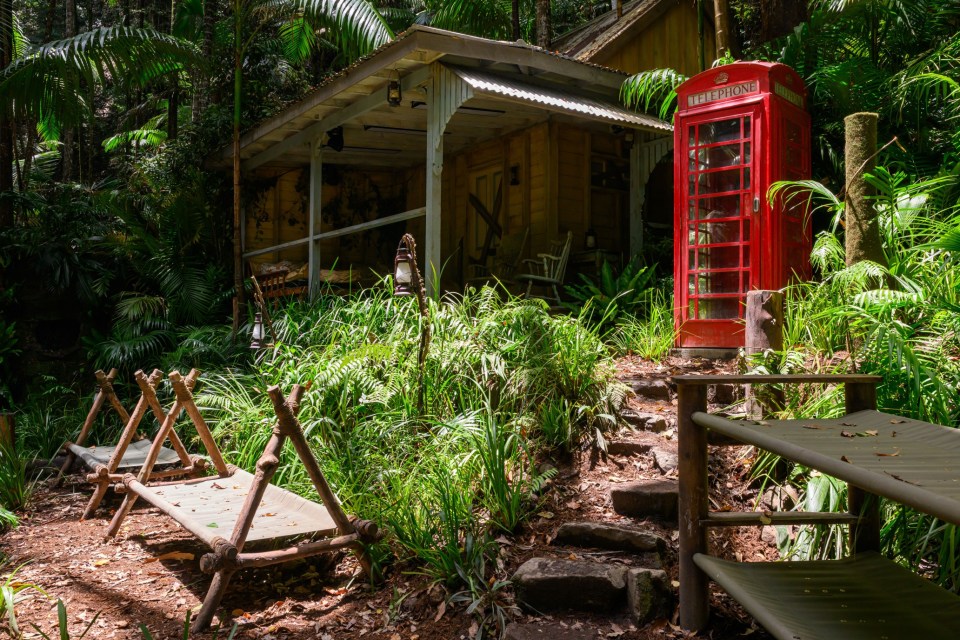 a red telephone booth is in the middle of a lush green forest