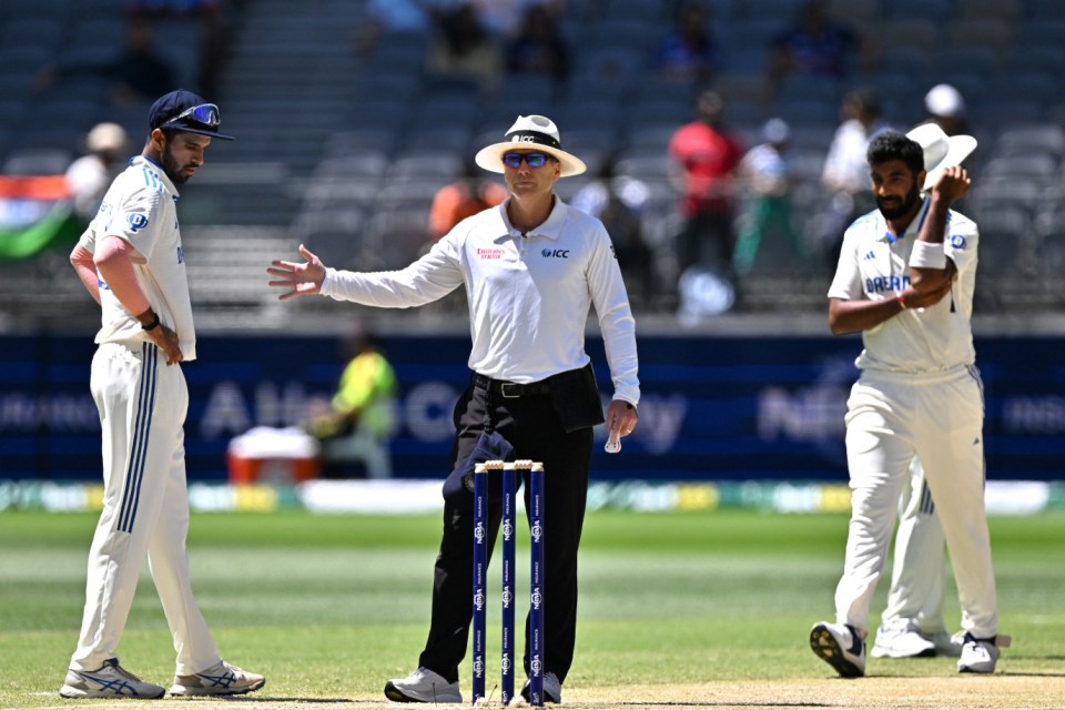 Calls have been made for umpires to be given greater protective equipment