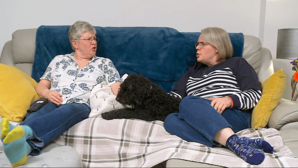 Canine companions are a regular feature on Gogglebox