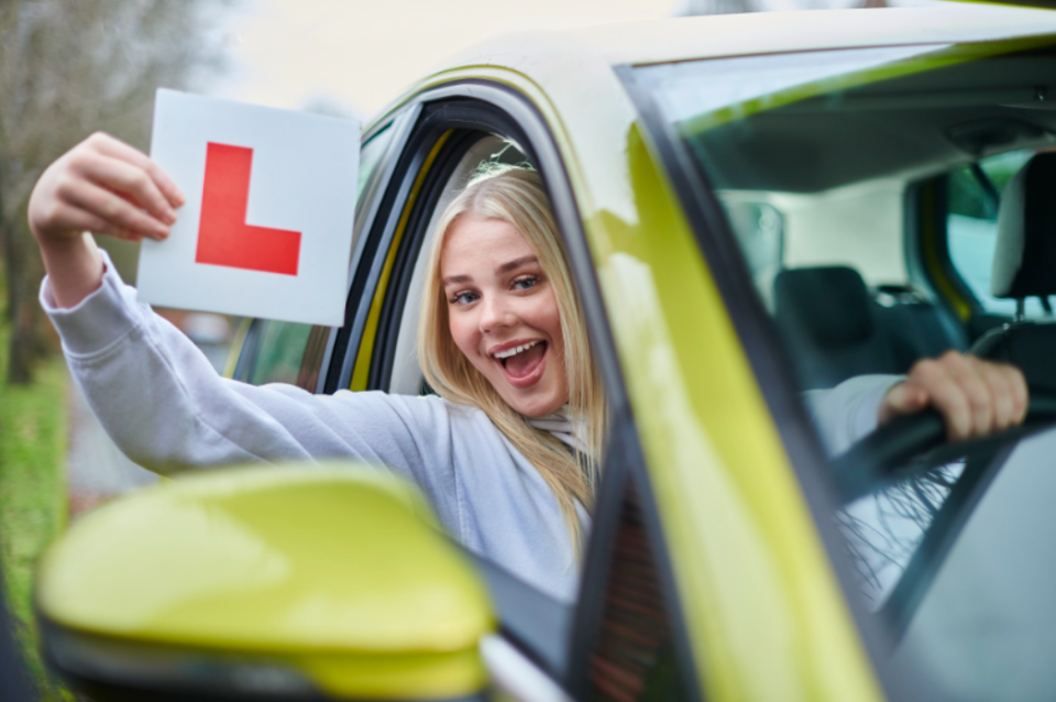 Driving tests can be a very daunting experience (file image)