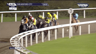 The nine-horse 20:30 race at Chelmsford on Saturday initially went off without a hitch