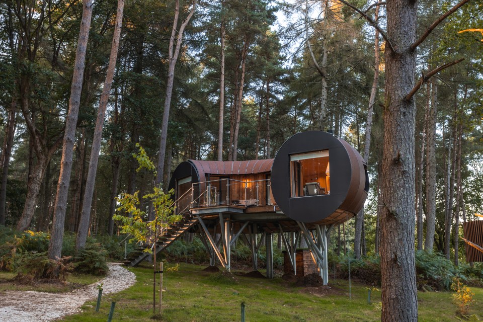 a tree house in the middle of a forest