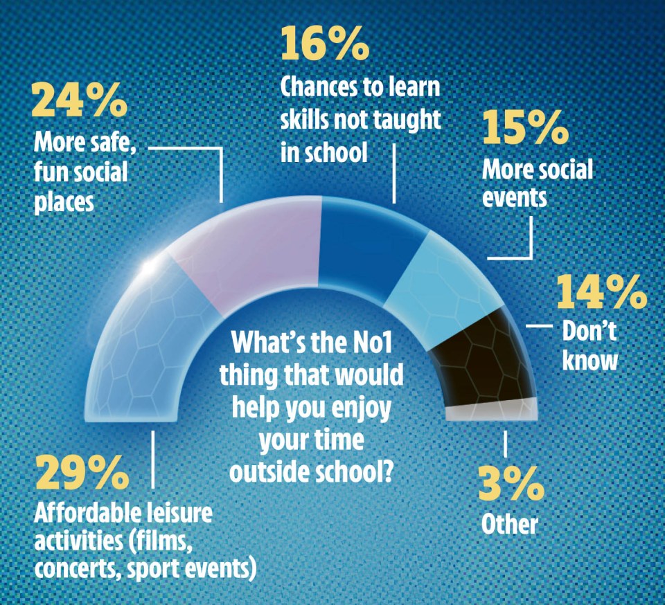 a pie chart shows the percentage of people who enjoy their time outside school