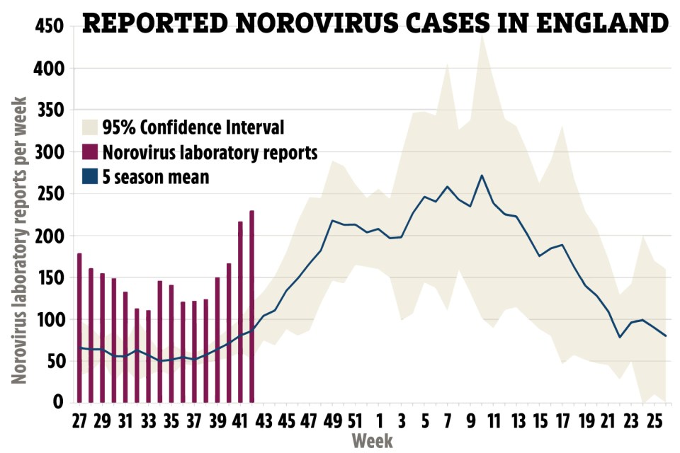 a graph showing the number of norovirus cases in england