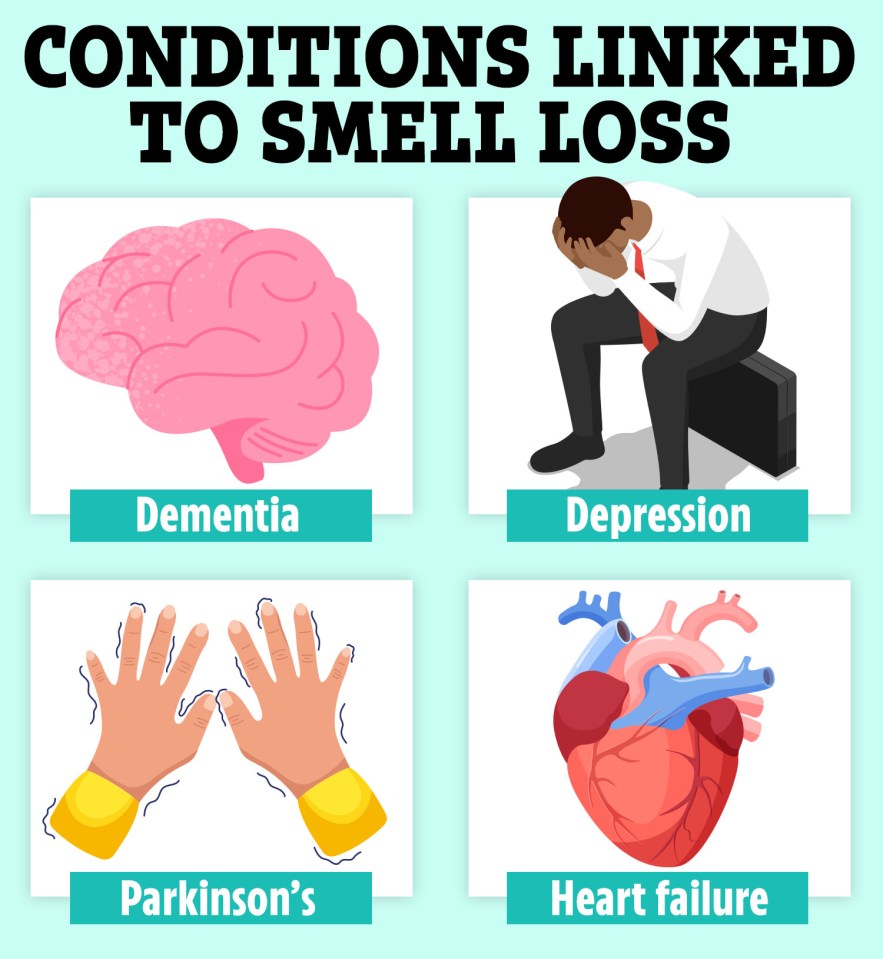 a poster showing the conditions linked to smell loss