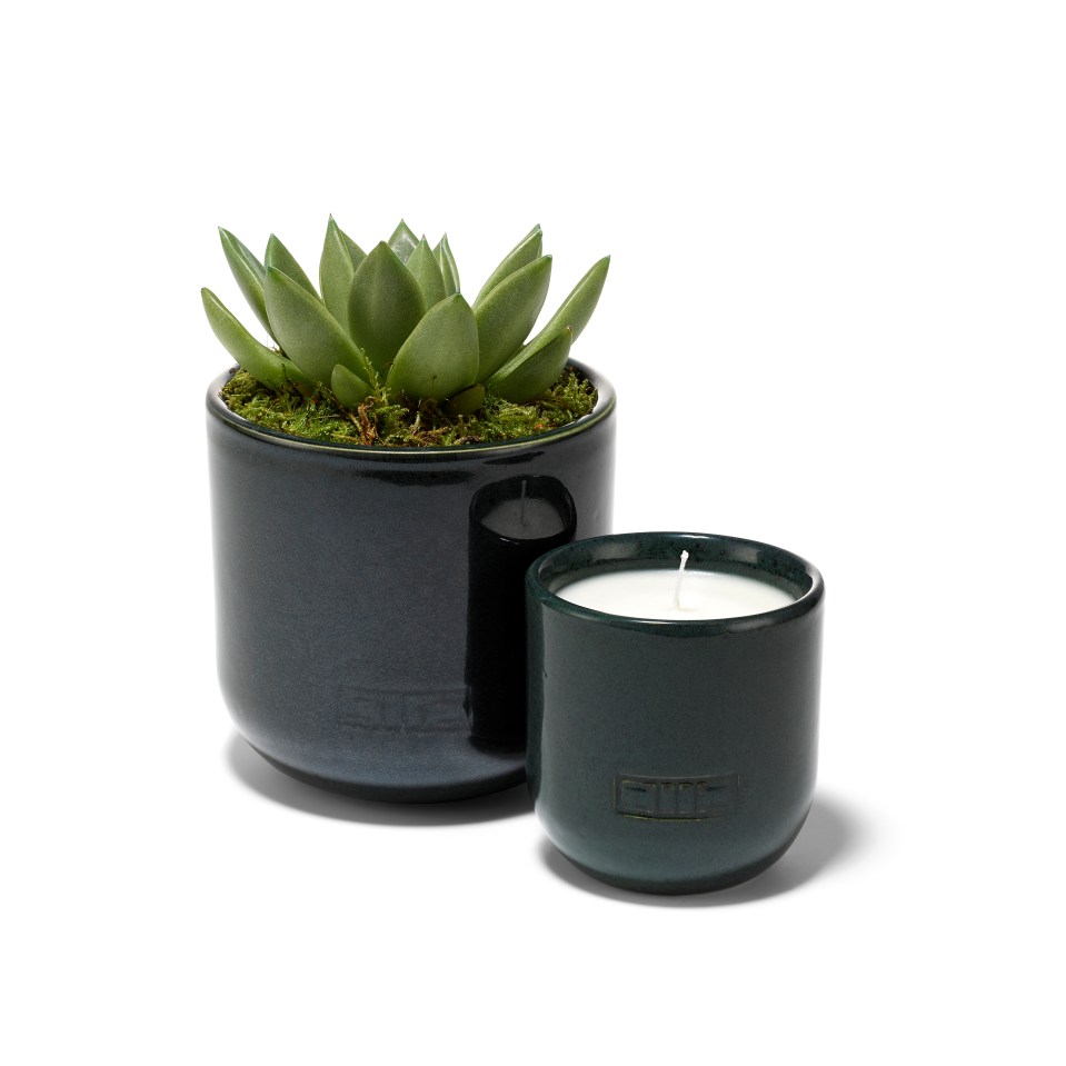 a plant in a pot next to a candle that says city