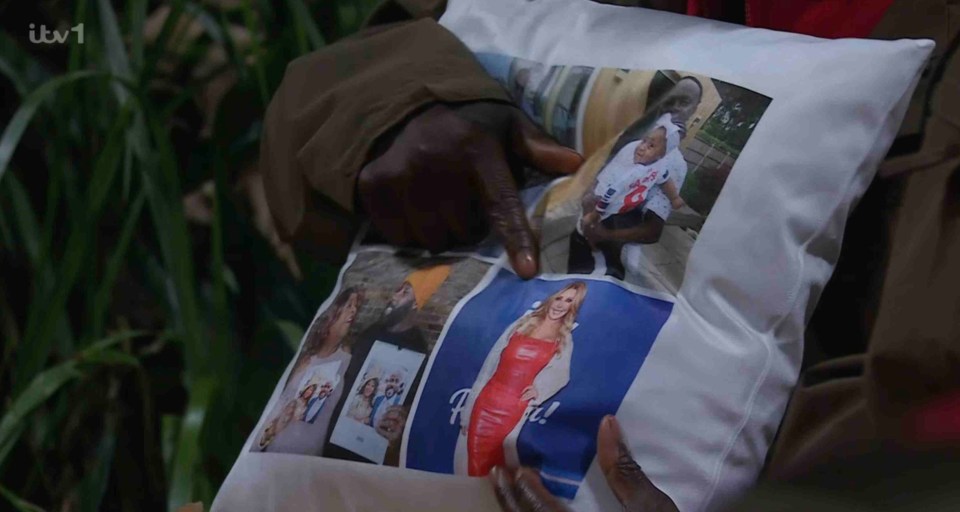 a person is holding a pillow that has a picture of a woman on it