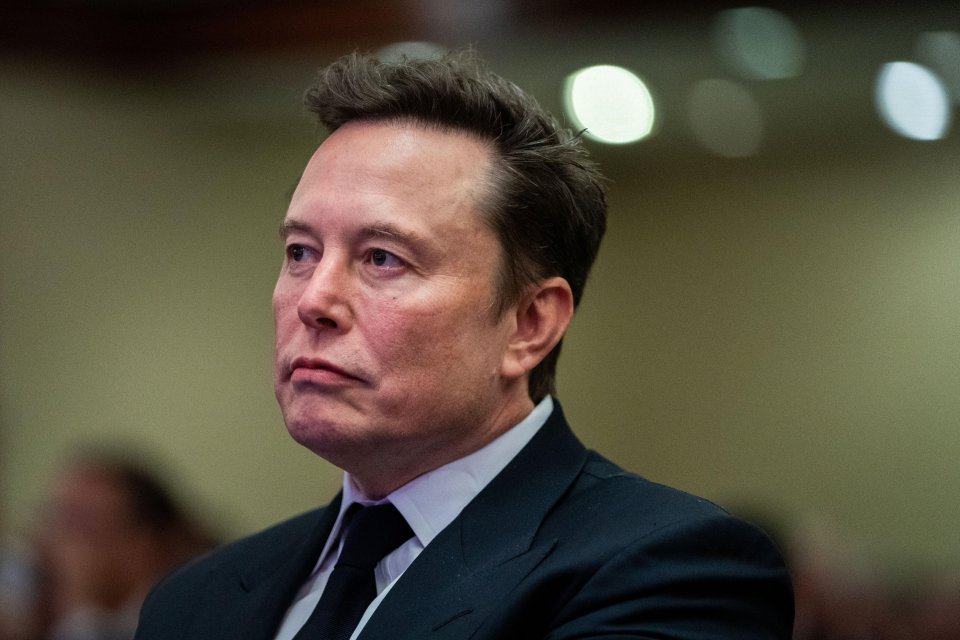 Billionaire Elon will 'trim the fat' within the US govt