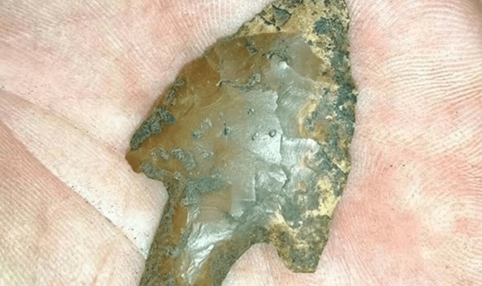 Other artefacts like flint arrowheads were also discovered