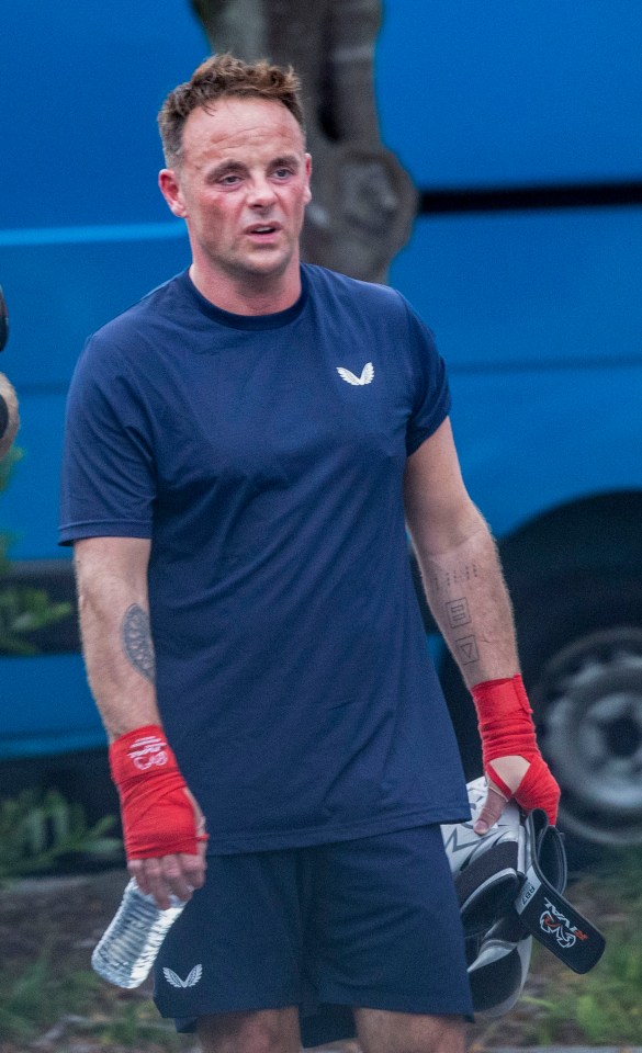 Ant McPartlin took part in a workout session in Australia