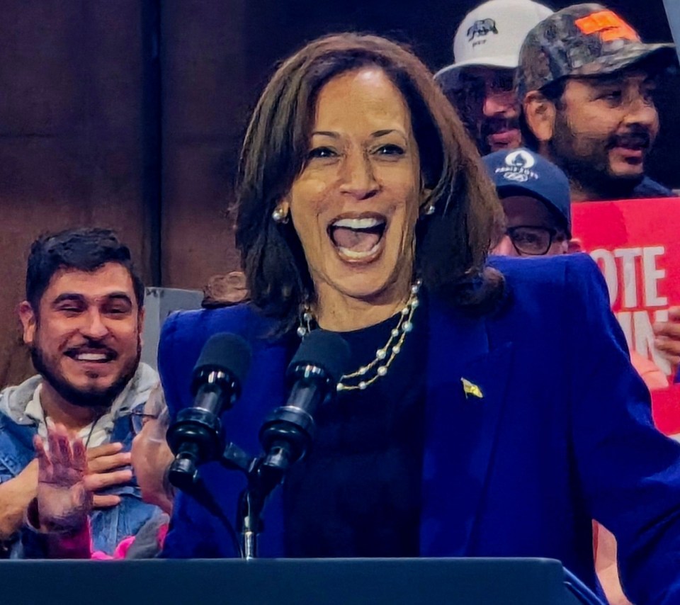 In part, the loss is down to the choice of Kamala Harris as the Democrat candidate, a woman of no substance and an excruciating laugh