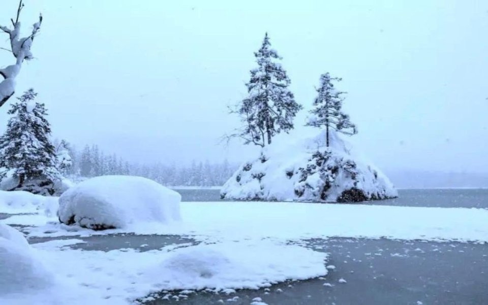 Can you spot the polar bear in this winter scene?