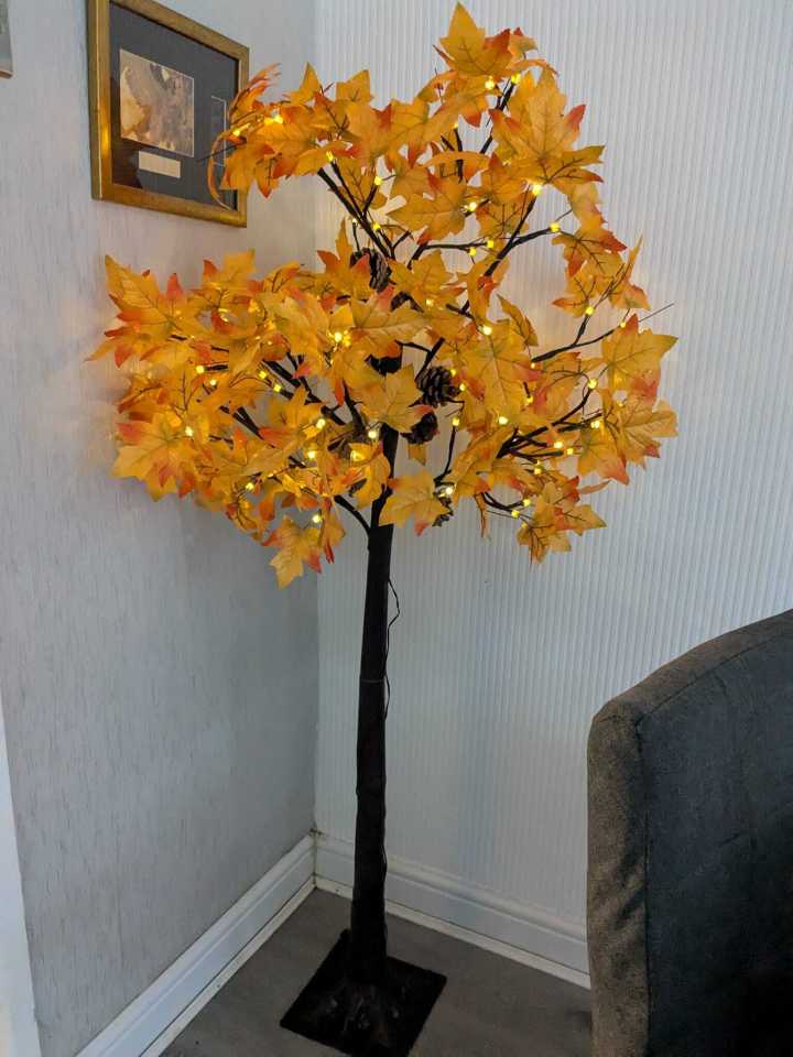 The autumnal tree is 'beautiful' in the home, one fan said