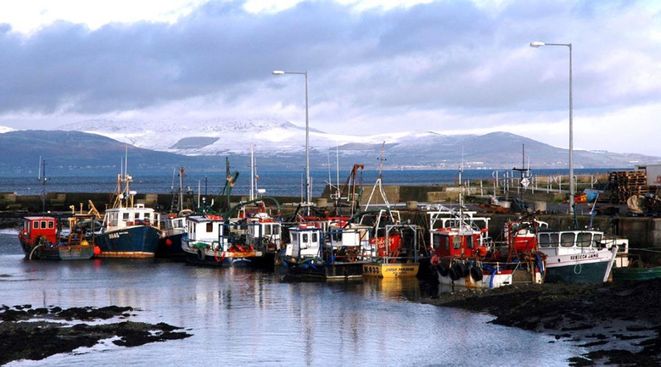 Plenty to sea at Annagassan Harbour