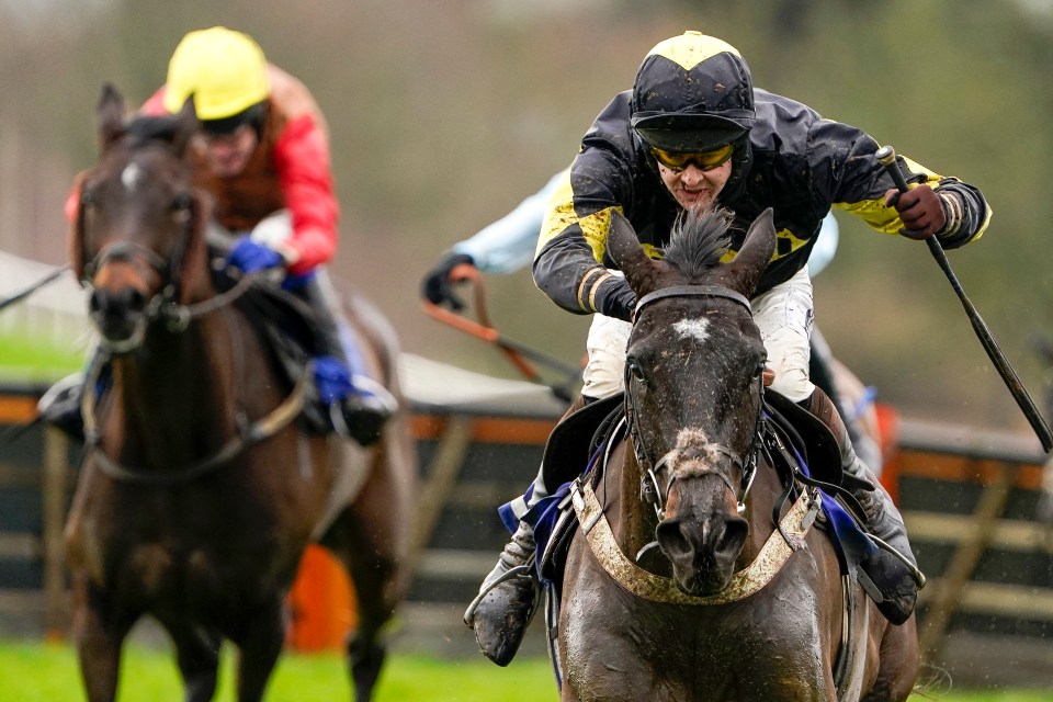 Joe Tizzard's believes JPR One can deliver the goods in the Haldon Gold Cup