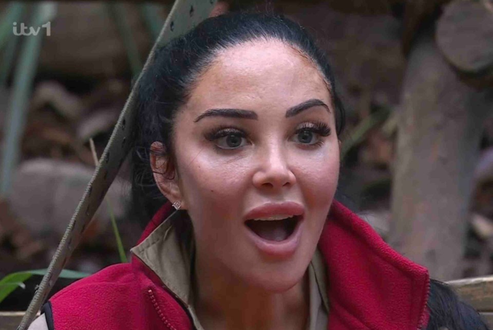 I'm A Celeb fans have all said the same thing about Tulisa and another camp mate