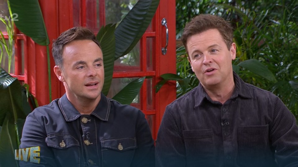 Ant and Dec said the weather became 'biblical' during the night