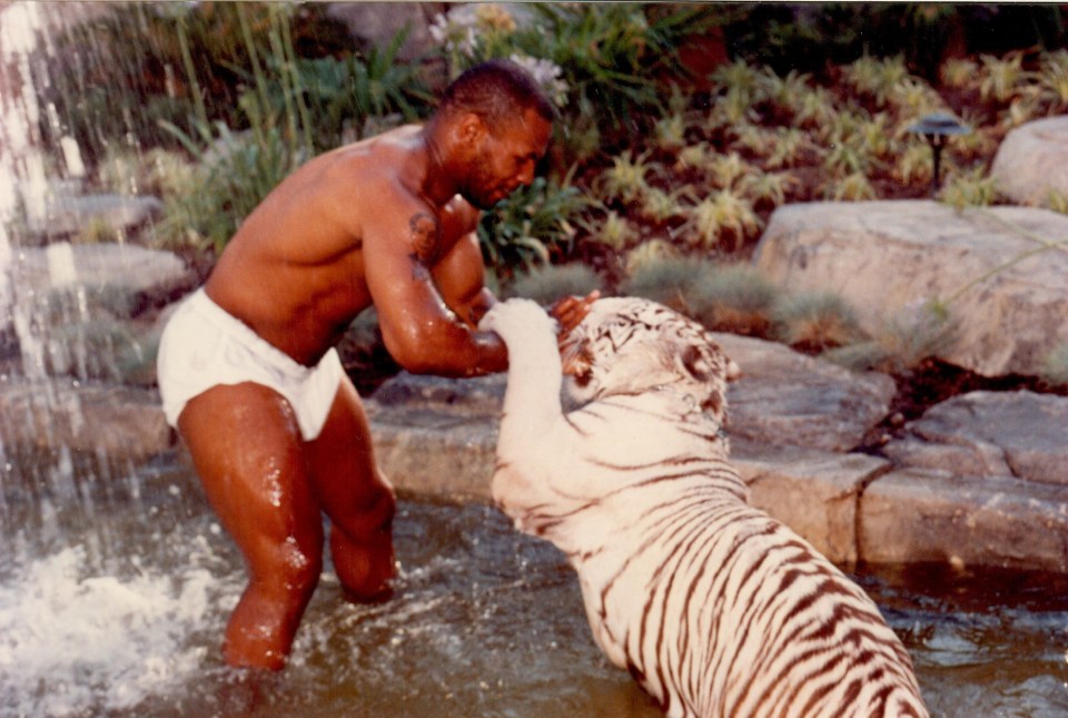 Tyson famously had three pet tigers