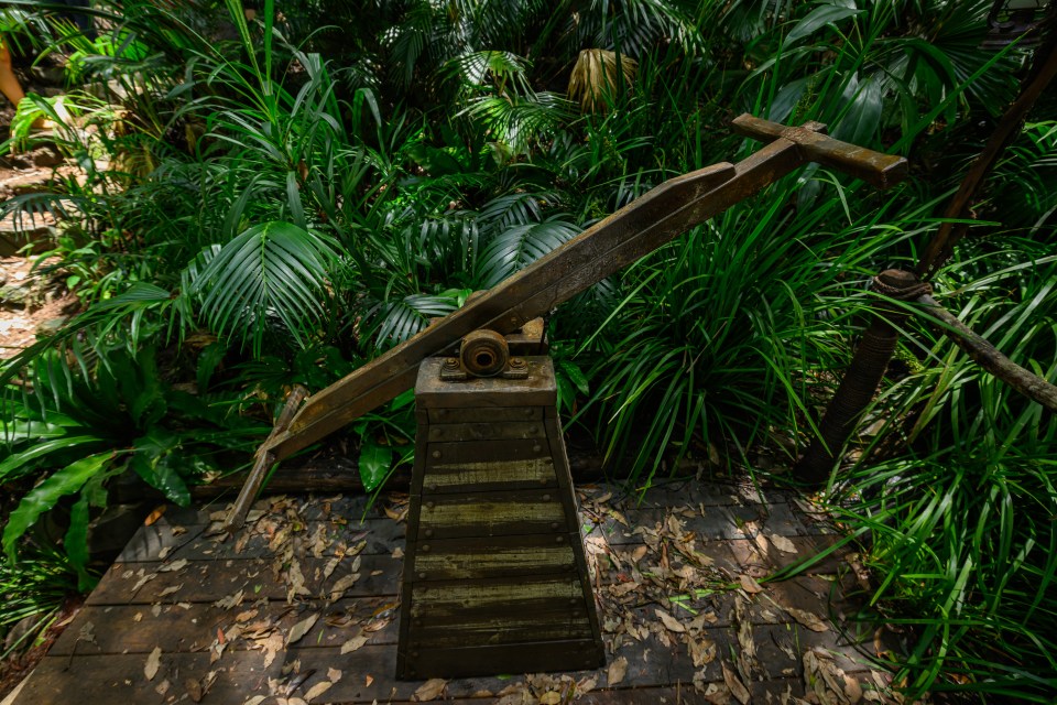 a wooden saw is in the middle of a lush green forest