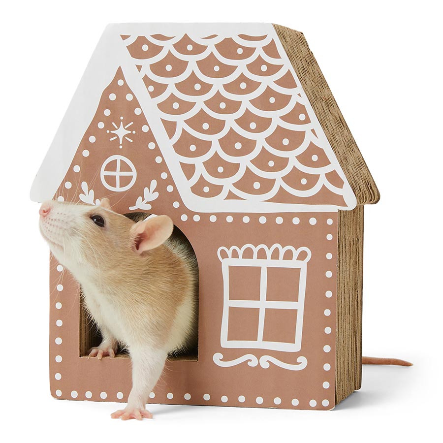 a mouse is looking out of a gingerbread house