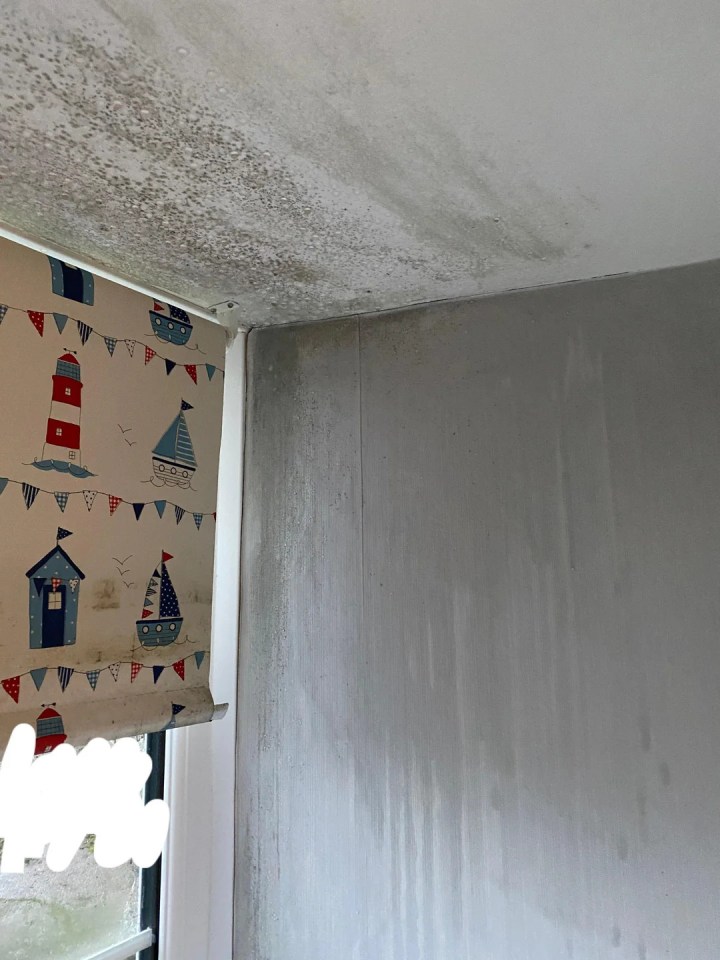 The suggestions came after one homeowner revealed how their walls and ceilings were soaked in condensation and mould