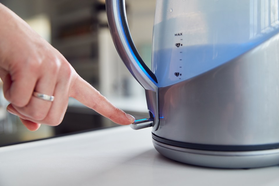 Only add the amount of water you need to a kettle before boiling