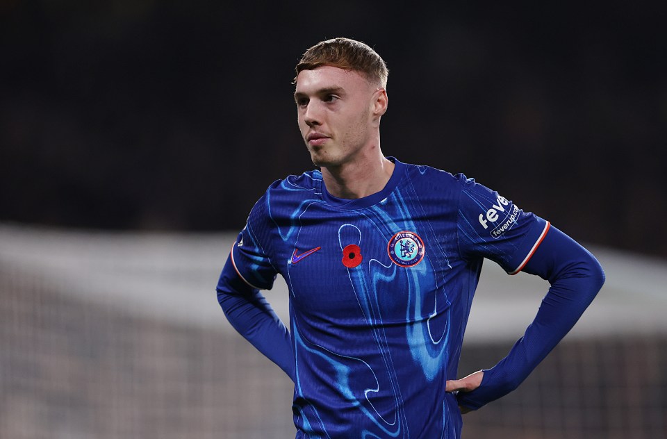 a soccer player wearing a blue shirt with a poppy on it