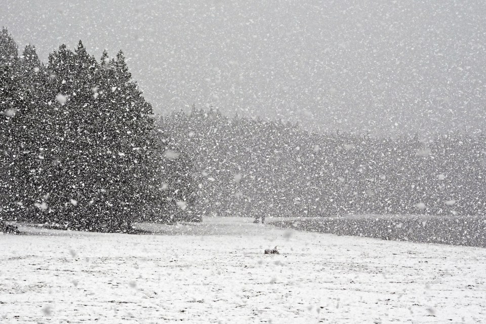 A stock picture of a couple walking on the snow-covered beach at Loch Morlich in Aviemore, Scotland. (Photo by Ken Jack/Getty Images)