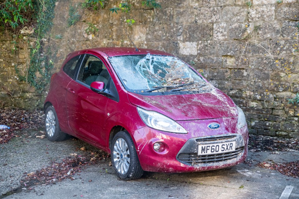 a red ford car with a license plate that says mf60 sxr