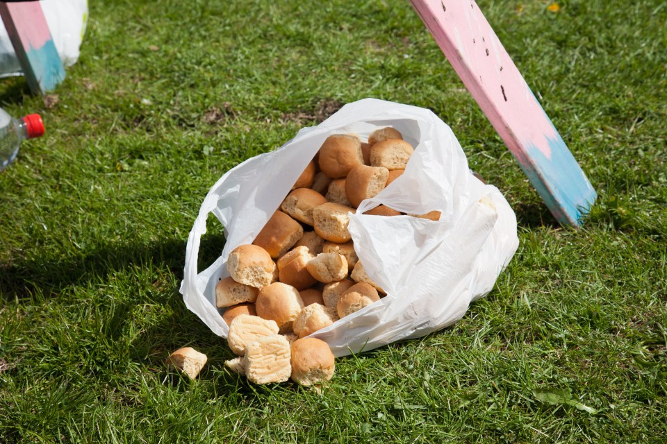 a bag of bread is laying on the grass