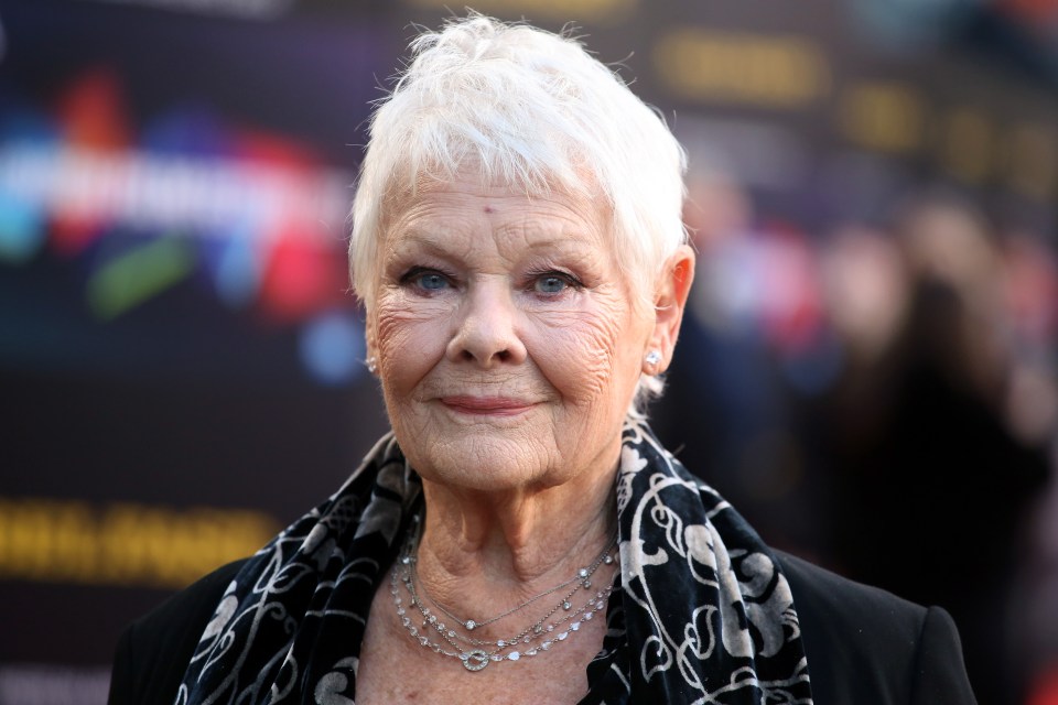 Dame Judi Dench is heading back to our screens after teaming up with The Yorkshire Vet Peter Wright for A Donkey For Christmas, which will air on December 17