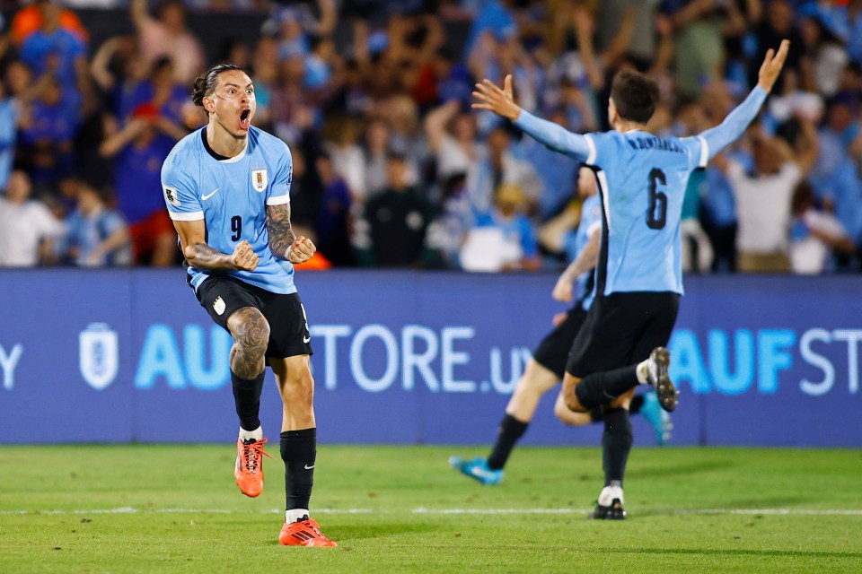 a soccer player with the number 9 on his jersey