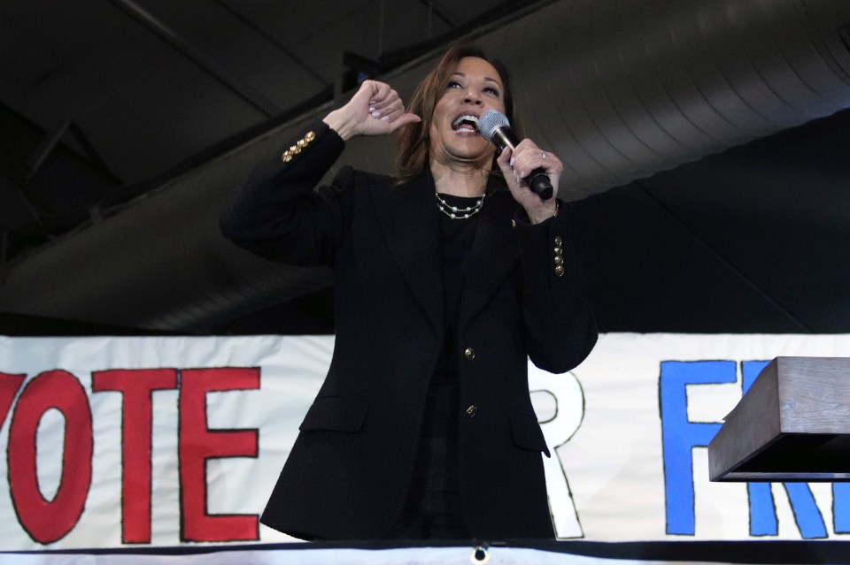 a woman stands in front of a sign that says vote