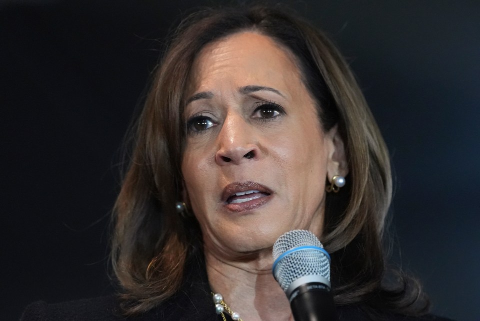 Kamala Harris pictured at a campaign rally a day before her crushing defeat