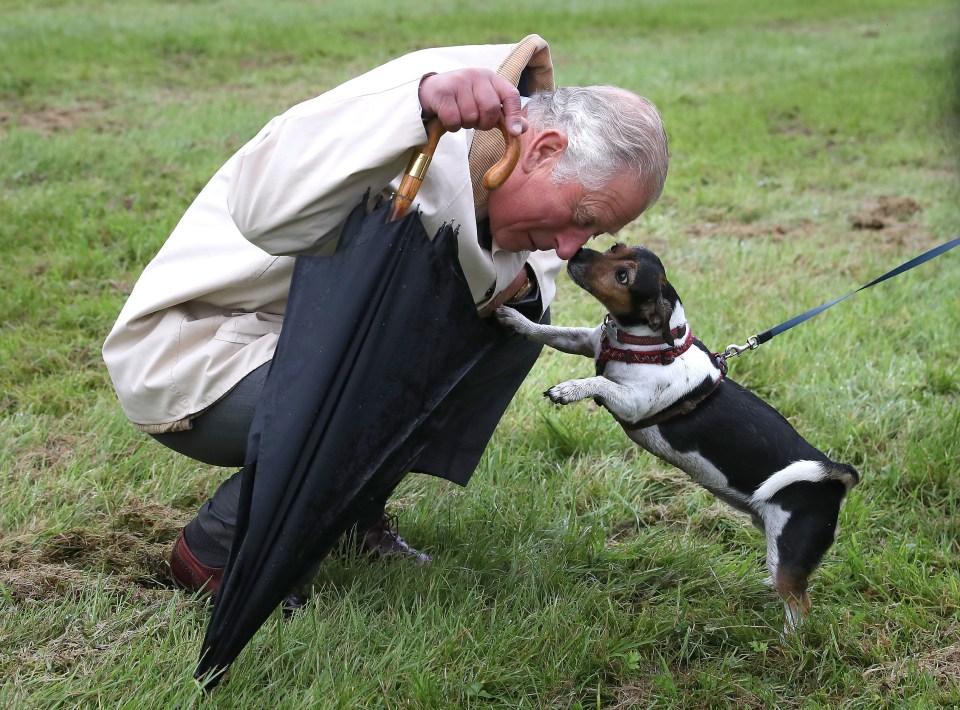 King Charles was attached to rescue Jack Russell Beth, who died earlier this year